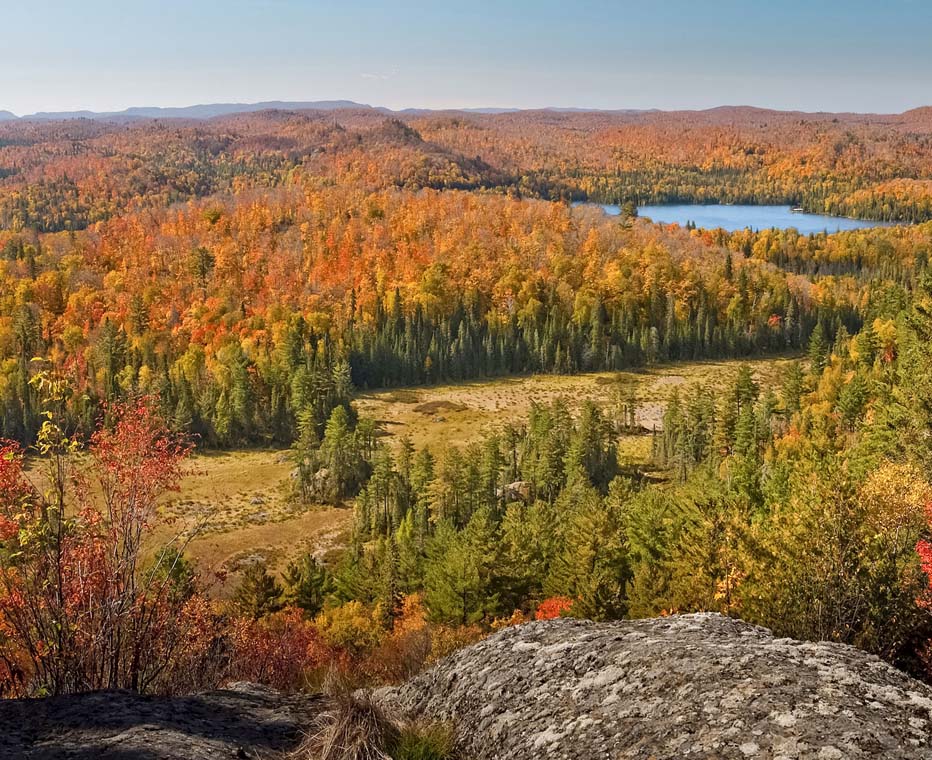 Red and gold leaves on trees in the Painted Forest Ontario, with Mongoose Lake in the background