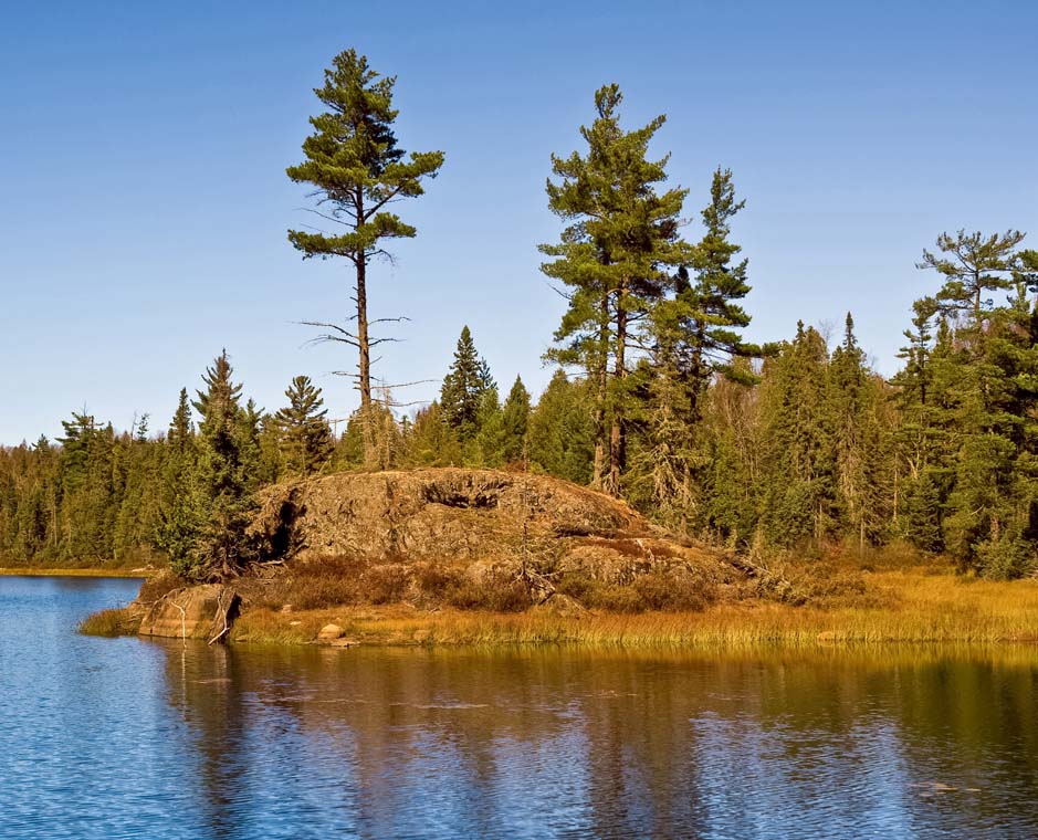 Three lone white pines on a small rocky island with foreground of blue water and the pine trunk with reflections of the pines