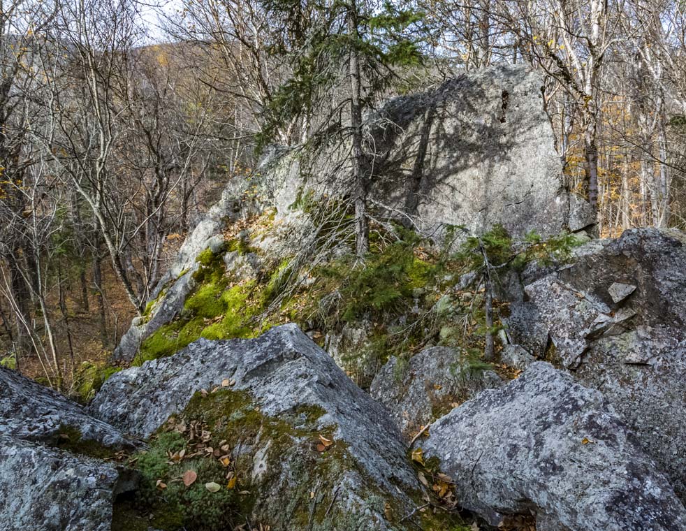 Grey boulders, lichen-encrusted and moss covered, form a pyramid shape deep in the heart of the Painted Forest. This is late autumn, the deciduous trees form a bare-branched screen through which you can see the distant hills