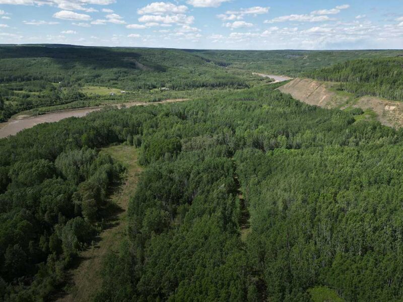 Forest Management & Nature Projects - Perimeter Forest